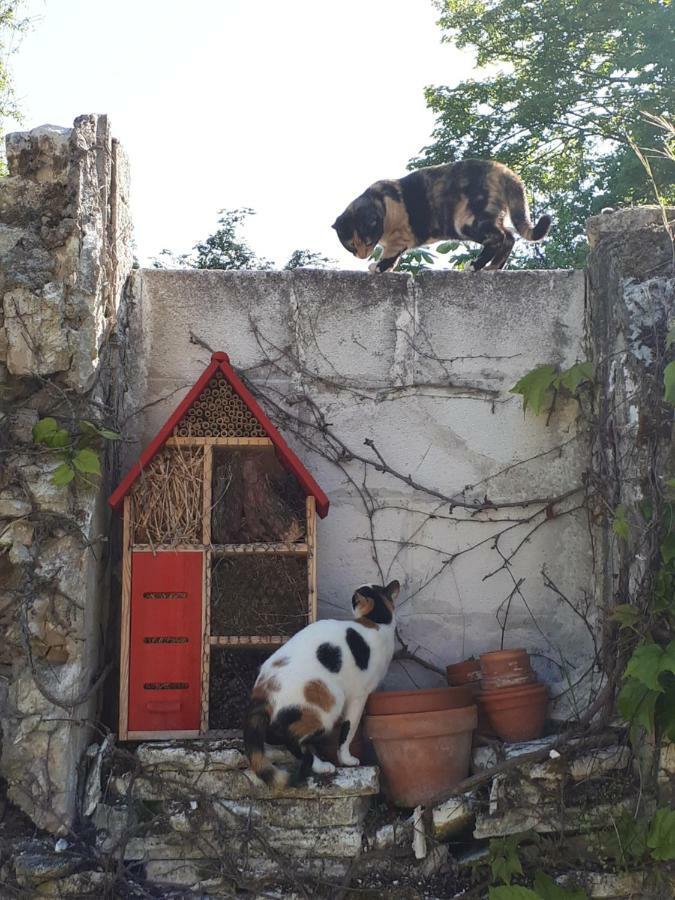 Au Chat Perché Mareil-sur-Mauldre Exterior foto